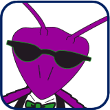 Jazz the purple praying mantis
